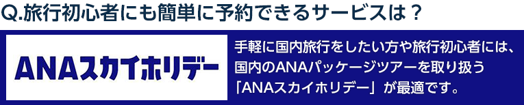 ANAスカイホリデー