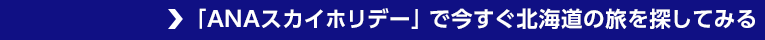 ANAスカイホリデーで今すぐ北海道の旅を探してみる