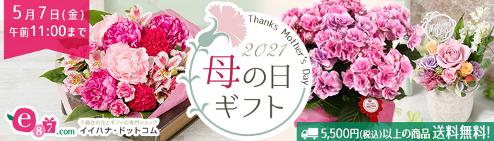 ダイナースクラブ ポイントモール