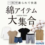 グンゼストア